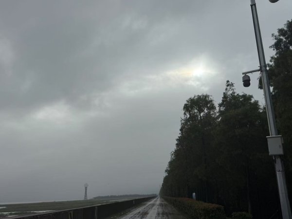 融智和 城事 | 东边日出西边雨？“竹节草”登陆上海，台风眼里看到了太阳
