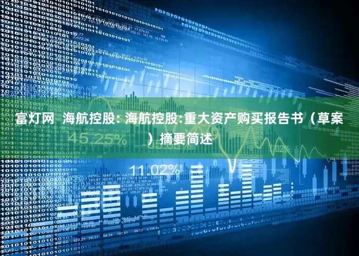 富灯网  海航控股: 海航控股:重大资产购买报告书（草案）摘要简述